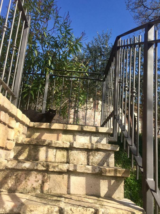 Lavanda E Rosmarino Home Assisi Dış mekan fotoğraf