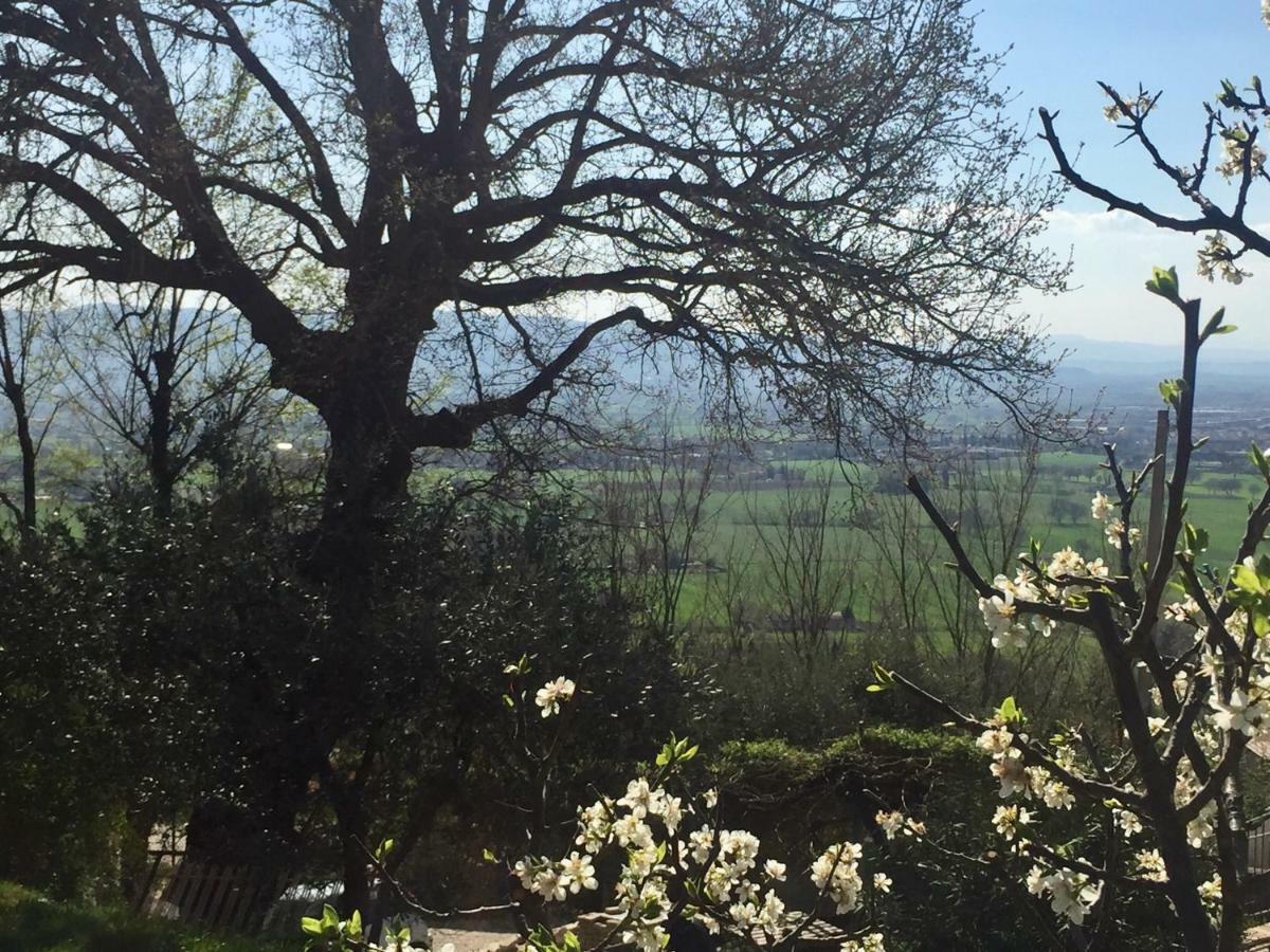 Lavanda E Rosmarino Home Assisi Dış mekan fotoğraf